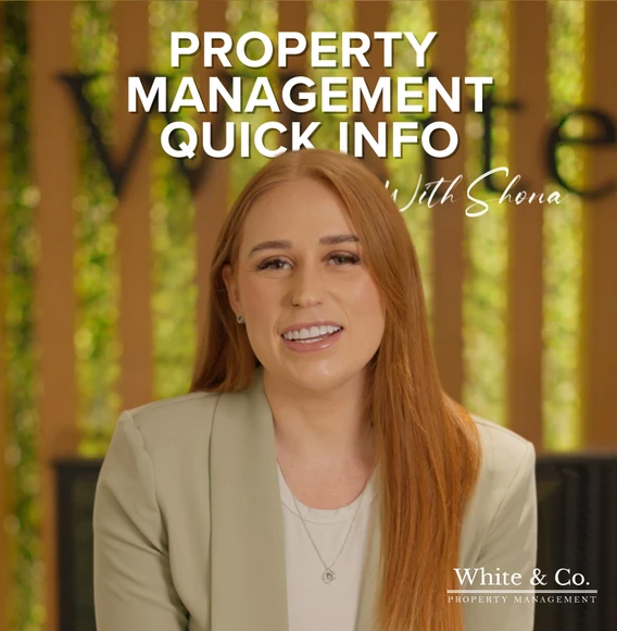 Property Management in Dubai - img - White and Co
